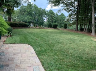 Lisa B.'s turf care service result