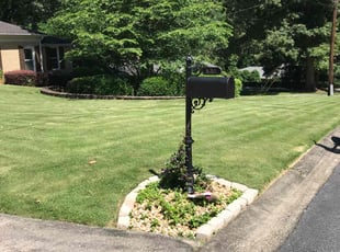 Nikki D.'s turf care service result