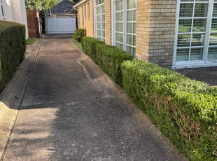 Doris R.'s Bush Trimming service result
