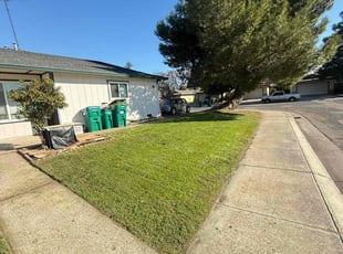 Patti L.'s landscaping service result