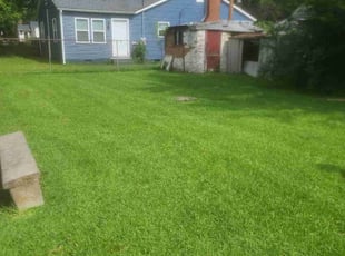 Gary Y.'s grass cutting service result