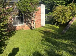 Jennifer H.'s Long Grass Cleanup service result