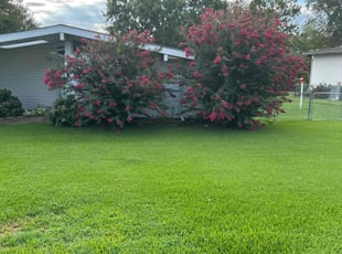 Carol C.'s lawn service service result