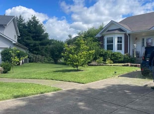 Mariah S.'s grass maintenance service result