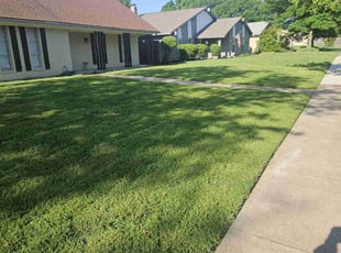 Kenneth J.'s lawn maintenance service result