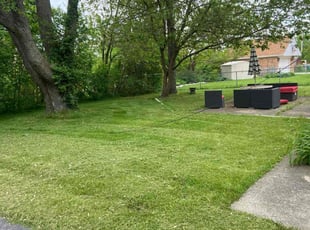 George L.'s turf care service result
