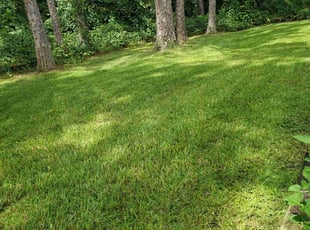 Jake F.'s turf maintenance service result