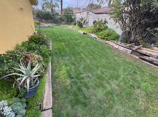 teresa w.'s lawn care services service result