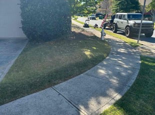Kathleen A.'s Bush Trimming service result