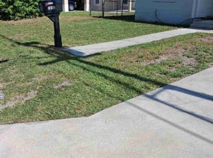Edgar R.'s turf care service result