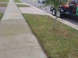 Daniel W.'s turf care service result