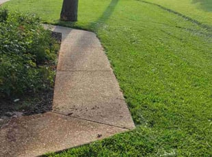Eddy W.'s grass maintenance service result