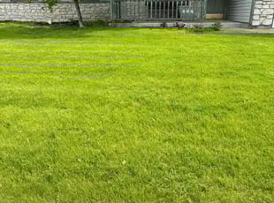Priscilla S.'s turf maintenance service result