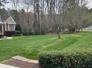 Shannon W.'s lawn service service result