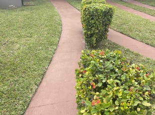 Danielle M.'s Bush Trimming service result