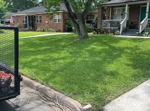 Wynter J.'s grass maintenance service result