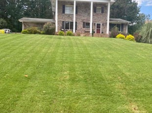Melinda c.'s lawn care service result