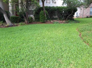 Chase F.'s grass maintenance service result