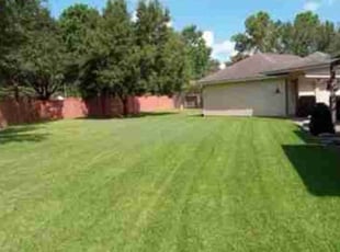 Rose O.'s lawn maintenance service result