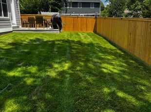 Michael M.'s lawn care service result