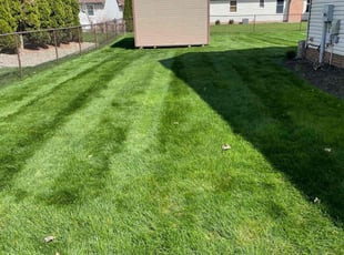 Kandy P.'s lawn maintenance service result