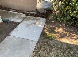 Brian O.'s Flower Bed Weeding service result