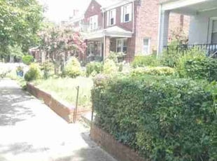 Calvin S.'s Bush Trimming service result