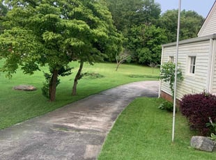 Terri D.'s landscape maintenance service result