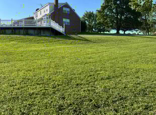 Ofelia A.'s residential landscaping service result