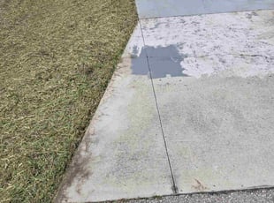 Curtis D.'s Long Grass Cleanup service result