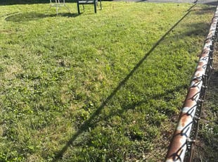 Marcia W.'s lawn service service result