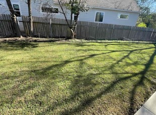 Ani S.'s turf maintenance service result