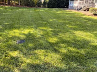 Diane T.'s grass maintenance service result