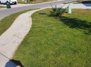 Jackie G.'s turf care service result