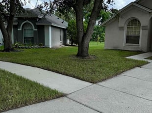 Linda S.'s lawn service service result