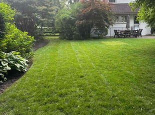 Jeffrey Y.'s grass maintenance service result