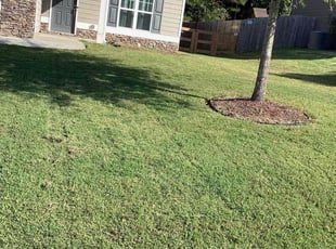 Aqura B.'s grass maintenance service result