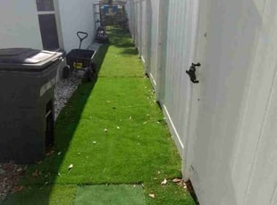 Jacqueline F.'s Leaf Removal service result