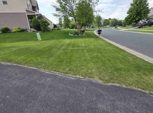 Donecia S.'s turf care service result