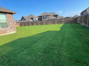 Cody G.'s grass cutting service result