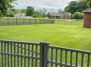 Luis D.'s grass maintenance service result