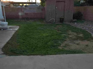 Hao B.'s turf care service result