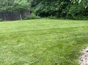 Michael S.'s grass cutting service result