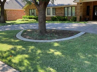Steve S.'s grass maintenance service result