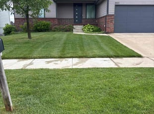 Vanessa W.'s lawn service service result