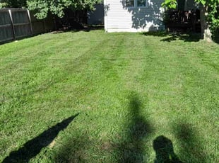 Sondra J.'s lawn care service result