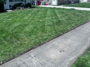 Charlotte F.'s lawn care services service result