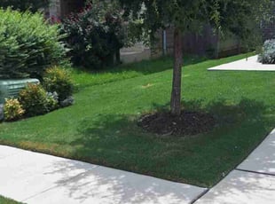 Sook L.'s gardening service service result