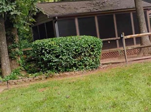 Bob V.'s Bush Trimming service result