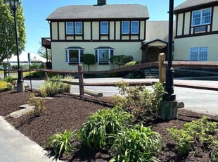 Lisa G.'s lawn service service result